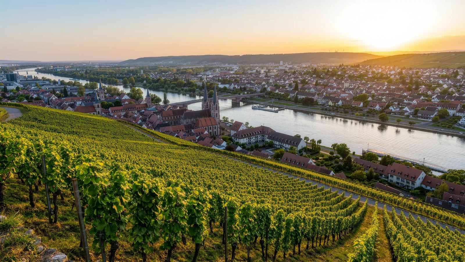 Symbolbild Weinberg über Ziegeldächern am Fluss